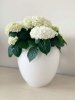 Donica ceramiczna Baroness XL - biały mat H24/Ø27 cm